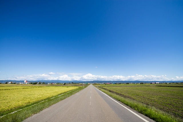 晴れた北海道の一本道