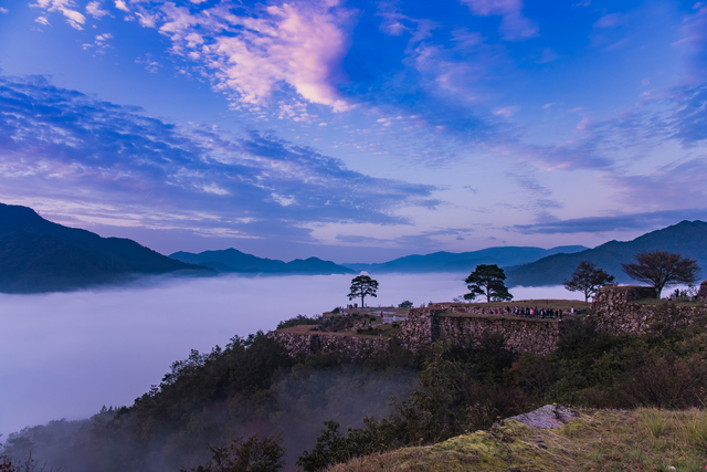 朝の竹田城と雲海