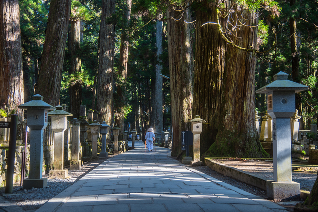 和歌山の高野山奥の院に繋がる道